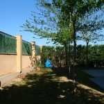 Unifamiliar pareado