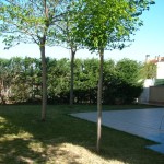Unifamiliar pareado