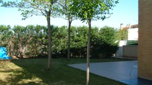 DSCF6118jardin2